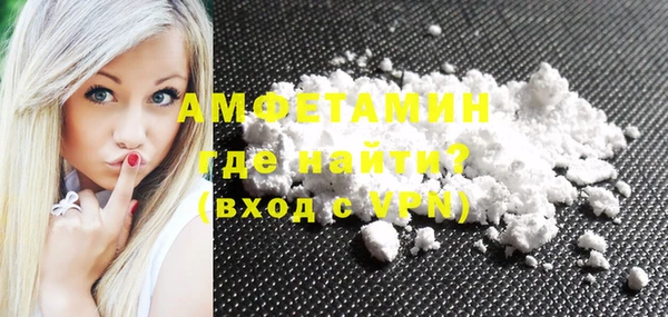 шишки Елизово