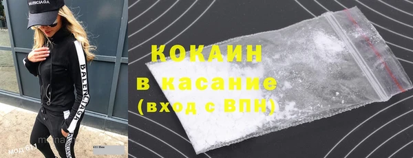 шишки Елизово