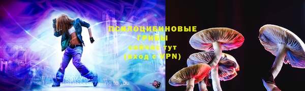 индика Заволжск