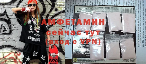 шишки Елизово
