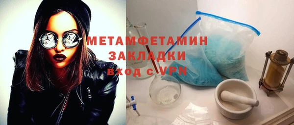 шишки Елизово