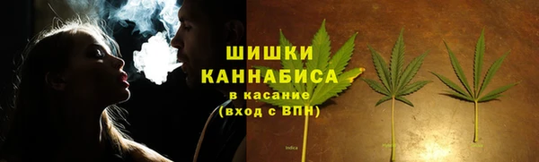 шишки Елизово