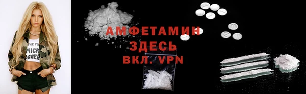 шишки Елизово