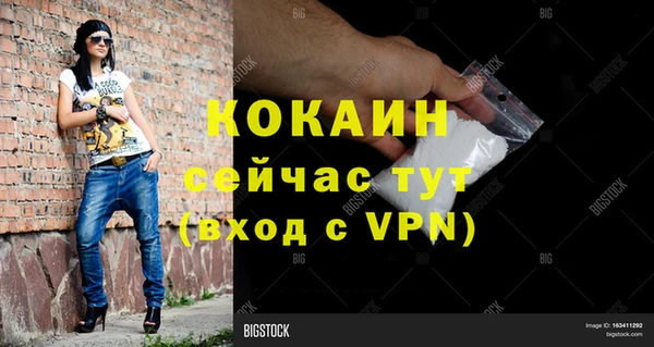 шишки Елизово