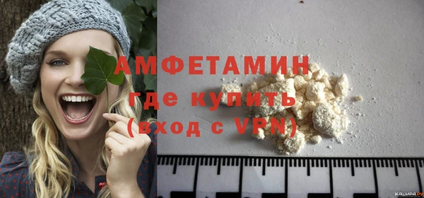 шишки Елизово