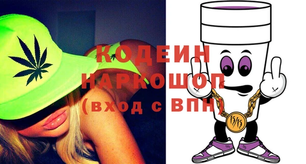 шишки Елизово