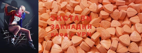 индика Заволжск