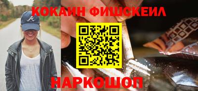 индика Сланцы