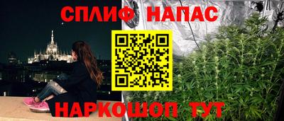 винт Славгород