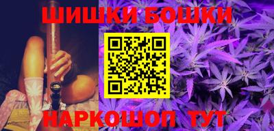 индика Сланцы
