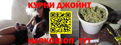 индика Сланцы