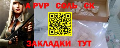 индика Сланцы
