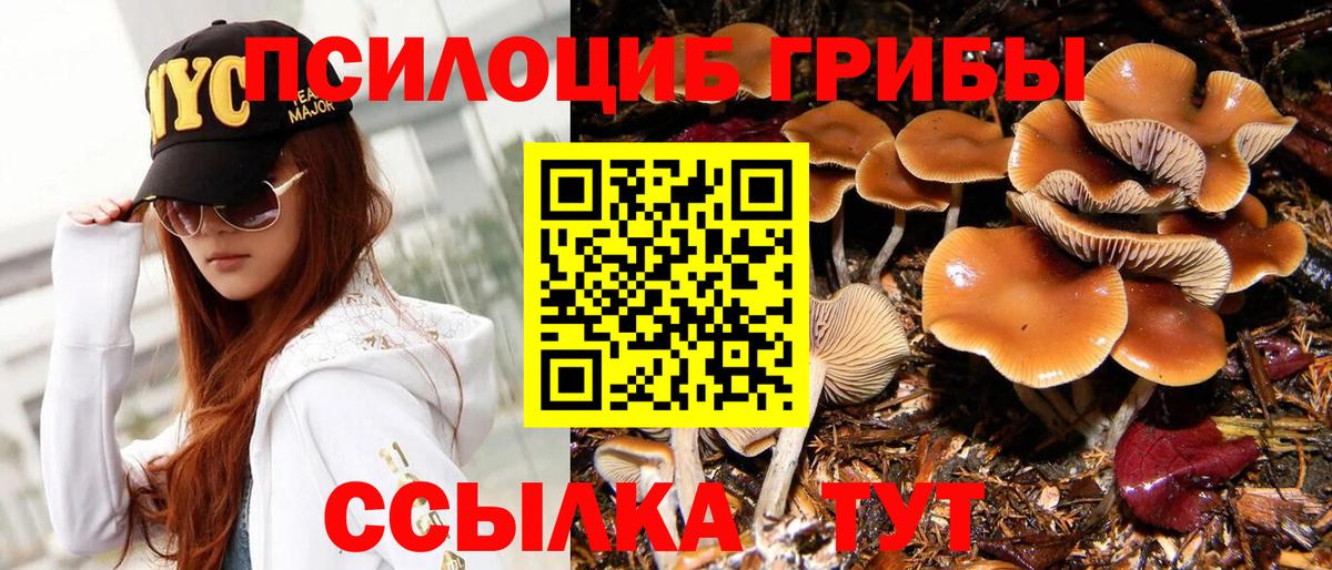 Галлюциногенные грибы GOLDEN TEACHER Ярославль