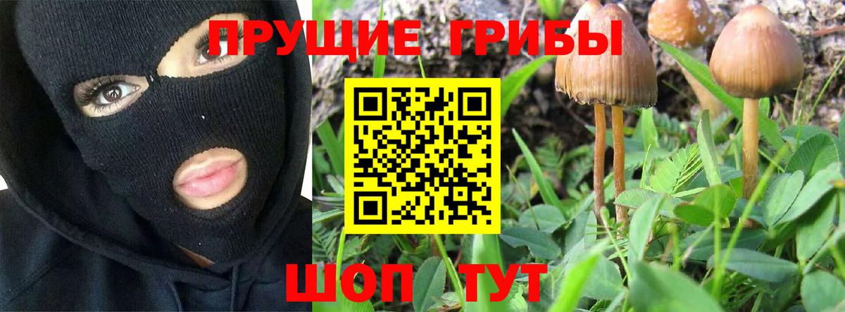 Псилоцибиновые грибы MAGIC MUSHROOMS  даркнет сайт  Вход с VPN  Ярославль  Галлюциногенные грибы Psilocybe 