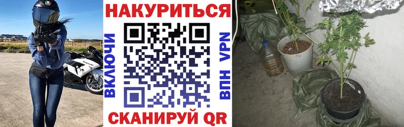 Марихуана AK-47  как найти   Ярославль 
